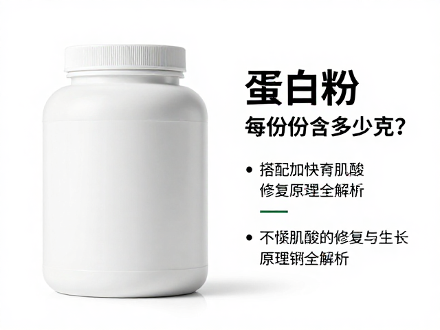 蛋白粉每份含多少克?搭配肌酸加速肌肉修复与生长原理全解析