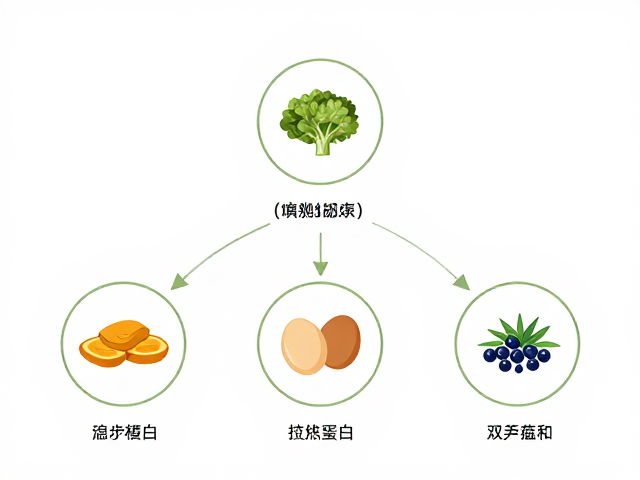 清洁标签,植物蛋白,高饱腹感健康饮食指南