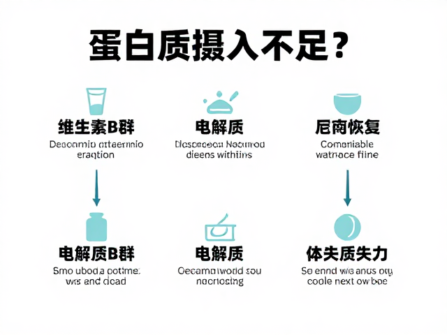 蛋白质摄入不足?维生素B群与电解质补充指南,高效恢复体力