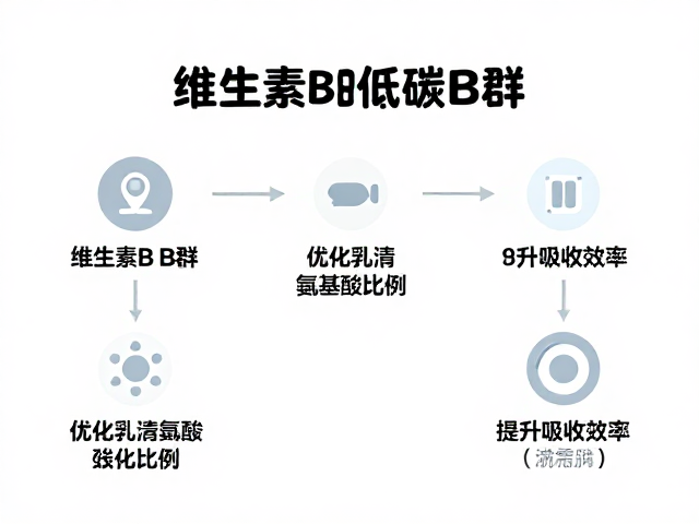 维生素B群,低碳配方,优化乳清氨基酸比例,提升吸收效率