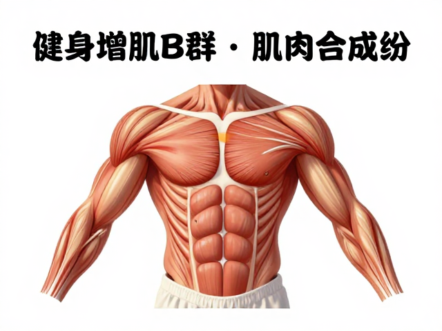 健身增肌每克蛋白价格多少？维生素B群助力肌肉合成