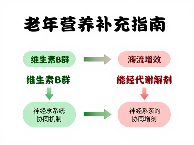 老年营养补充指南,维生素B群与电解质如何协同增效?