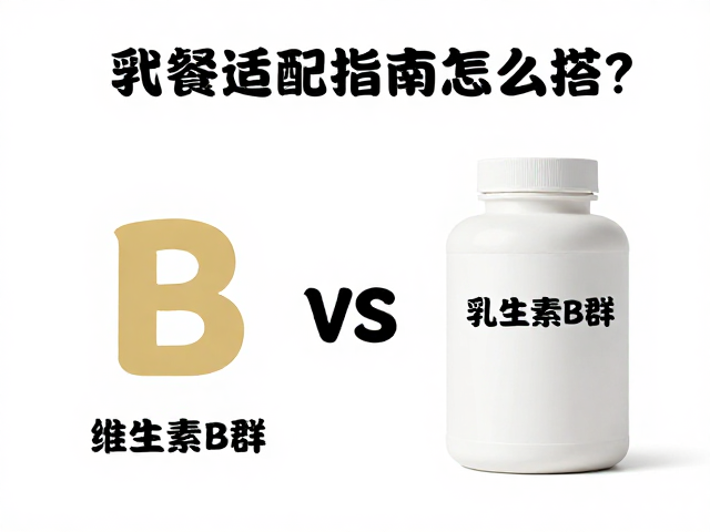 维生素B群，乳清蛋白怎么搭？代餐适配指南，高效燃脂不挨饿