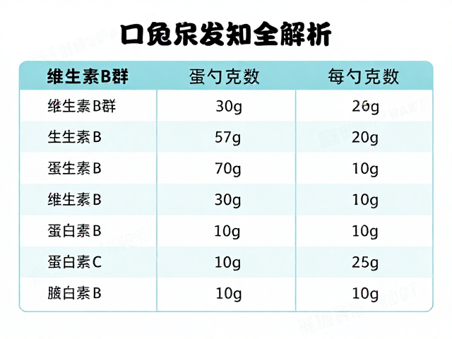 老年营养补充，维生素B群与每勺蛋白克数全解析