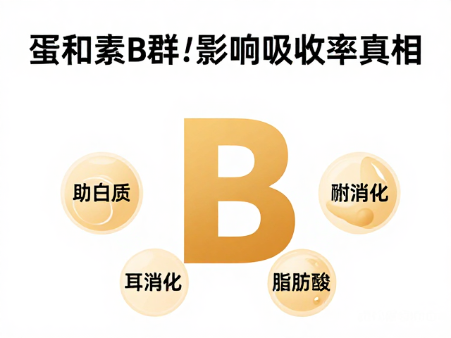 维生素B群，蛋白质助消化？饱和脂肪酸影响吸收率真相