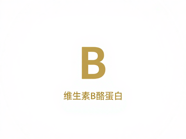 维生素B群，电解质，酪蛋白，高效恢复体力的黄金组合指南
