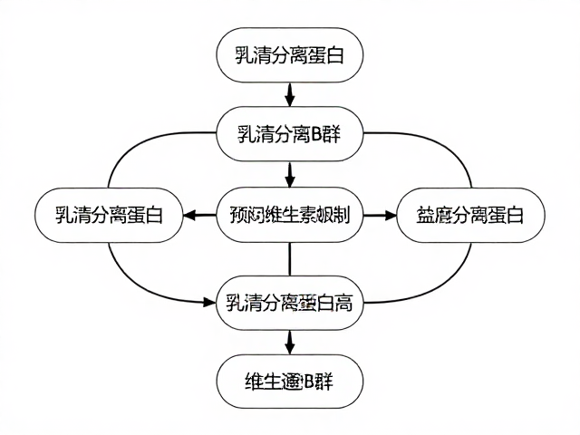 乳清分离蛋白亮氨酸含量高,搭配维生素B群效果好吗?
