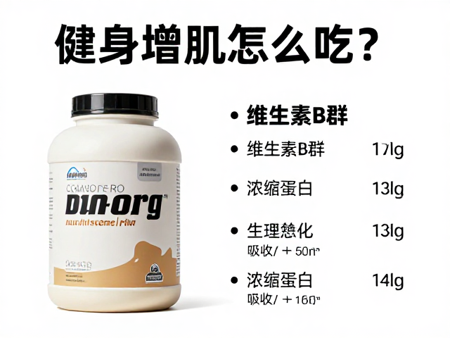 健身增肌怎么吃？维生素B群，浓缩蛋白的高效搭配指南