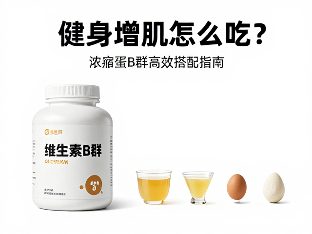 健身增肌怎么吃？维生素B群，浓缩蛋白的高效搭配指南