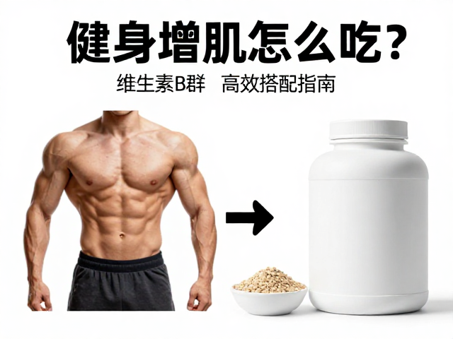 健身增肌怎么吃？维生素B群，浓缩蛋白的高效搭配指南