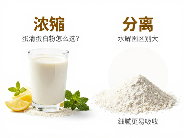 蛋清蛋白粉怎么选？浓缩、分离、水解区别大，粉末细腻更易吸收