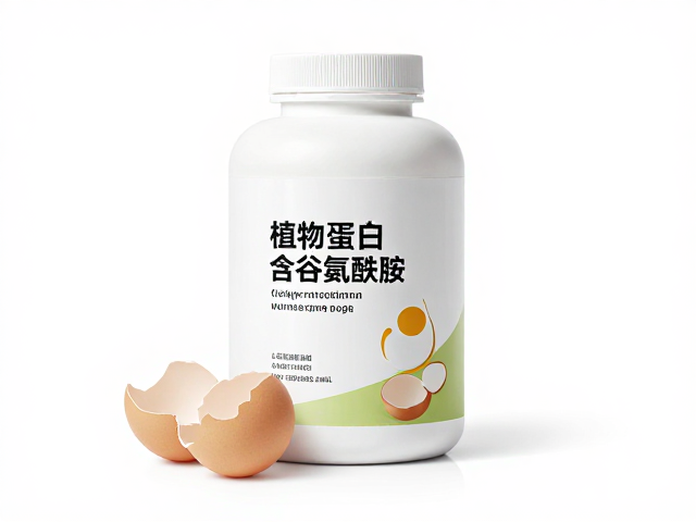 蛋清蛋白,混合植物蛋白含谷氨酰胺,高效增肌与术后恢复指南