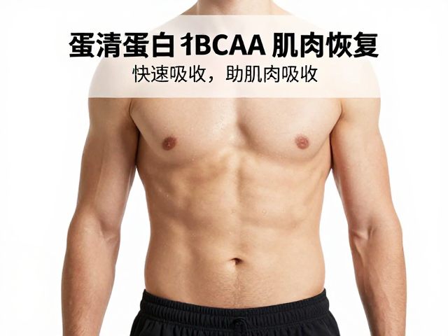 蛋清蛋白含BCAA，快速吸收助肌肉恢复
