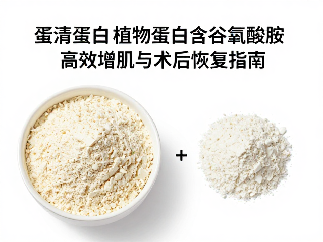 蛋清蛋白,混合植物蛋白含谷氨酰胺,高效增肌与术后恢复指南