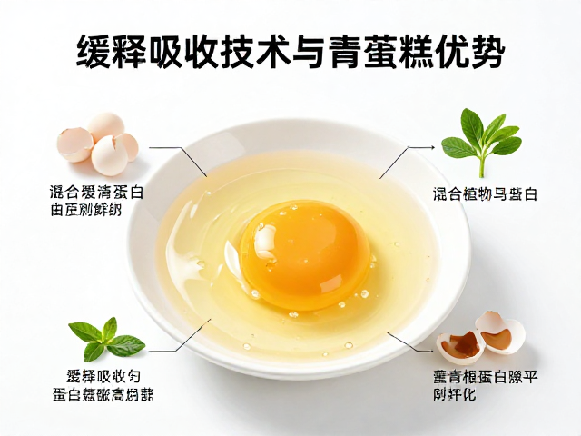 蛋清蛋白,混合植物蛋白,缓释吸收技术解析与营养优势