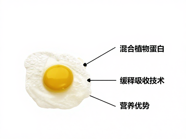 蛋清蛋白,混合植物蛋白,缓释吸收技术解析与营养优势