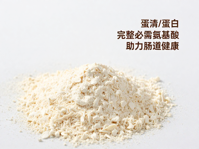 蛋清蛋白,益生元复配,完整必需氨基酸助力肠道健康