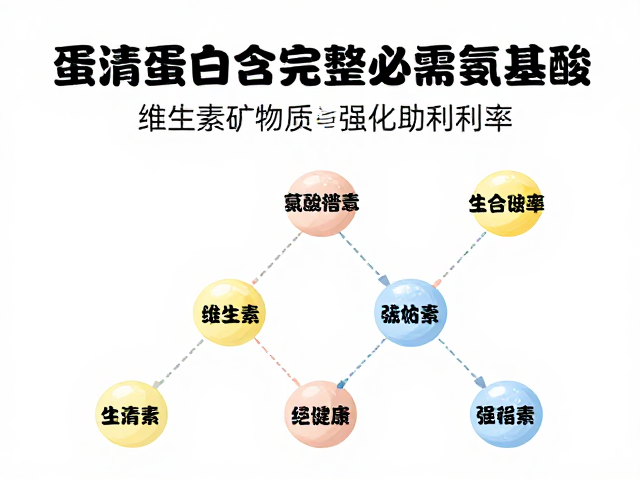 蛋清蛋白富含完整必需氨基酸,维生素矿物质强化助健康
