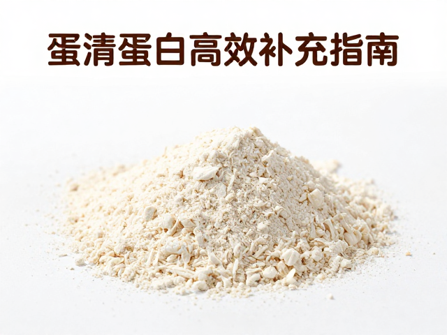 巧克力味代餐配方，蛋清蛋白高效补充指南