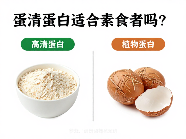 蛋清蛋白适合素食者吗？易消化且高纯的植物替代方案解析