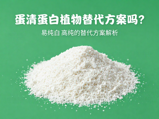 蛋清蛋白适合素食者吗?易消化且高纯的植物替代方案解析