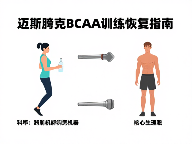 迈斯朋克BCAA训练教程，科学补充与高效恢复指南