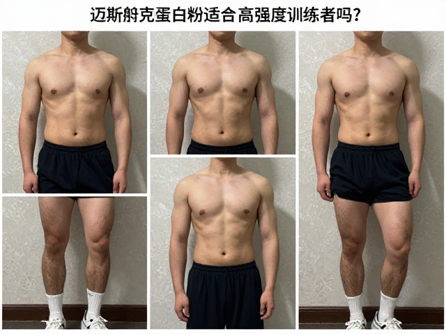 迈斯朋克蛋白粉适合高强度训练者吗?实测增肌效果与推荐