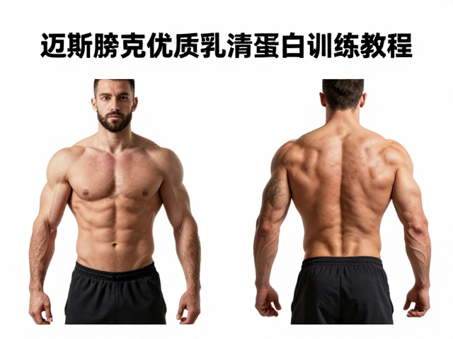 迈斯朋克优质乳清蛋白训练教程，科学增肌与高效恢复指南