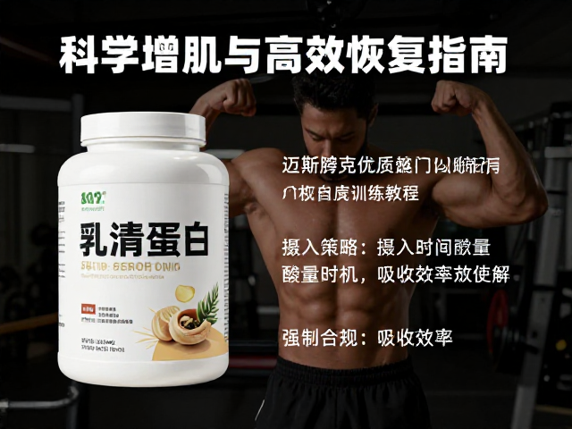 迈斯朋克优质乳清蛋白训练教程，科学增肌与高效恢复指南