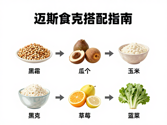 迈斯朋克国产研发，科学饮食搭配指南，提升健康活力