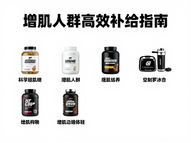 迈斯朋克运动营养，增肌人群高效补给指南