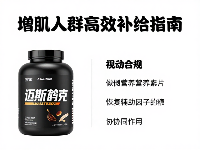 迈斯朋克运动营养,增肌人群高效补给指南