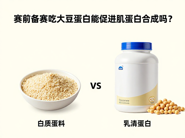 赛前备赛吃大豆蛋白能促进肌蛋白合成吗?