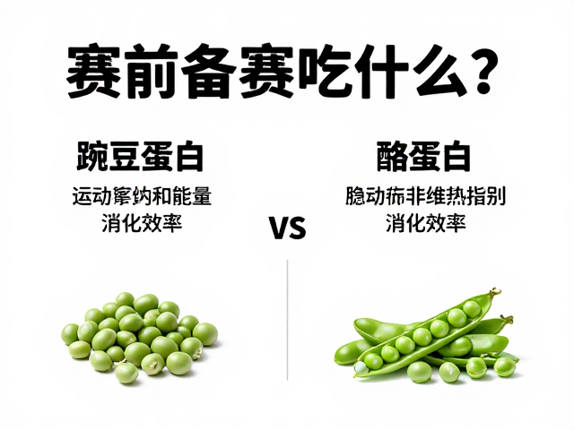 赛前备赛吃什么？豌豆蛋白与酪蛋白的区别与选择指南