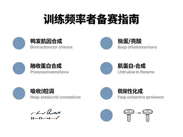 高训练频率者备赛指南，亮氨酸如何触发肌蛋白合成