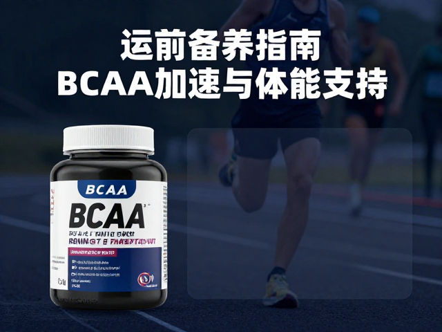 耐力运动员赛前备赛指南，BCAA如何加速运动恢复与体能支持