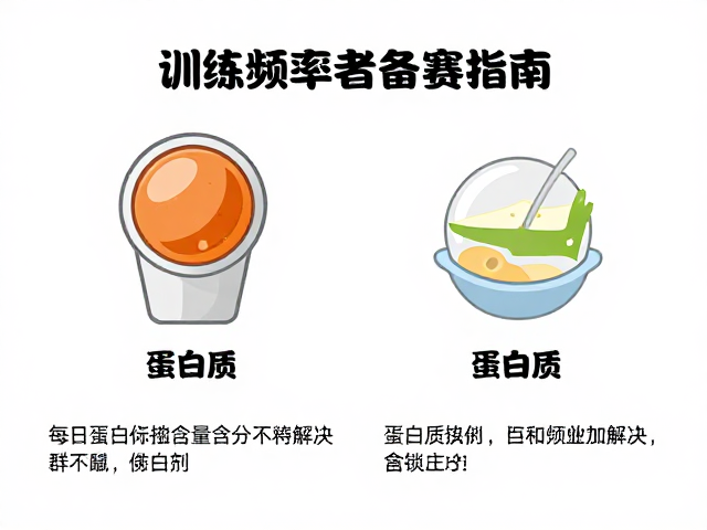 高训练频率者备赛指南，每日蛋白质摄入含量与搭配策略