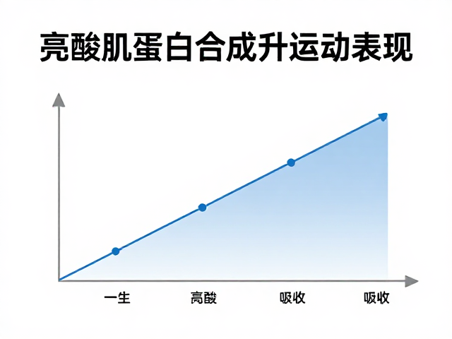 赛前备赛指南,亮氨酸如何触发肌蛋白合成提升运动表现
