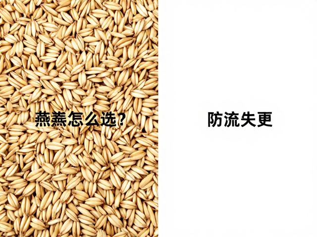 燕麦怎么选？无腥味好吸收，防流失更养身