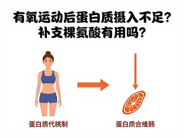 有氧运动后蛋白质摄入不足？补支链氨基酸有用吗？