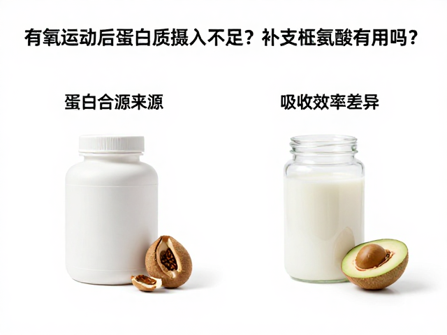 有氧运动后蛋白质摄入不足?补支链氨基酸有用吗?