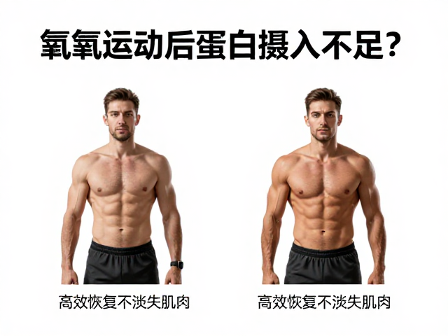 有氧运动后蛋白质摄入不足？调整日常饮食，高效恢复不流失肌肉