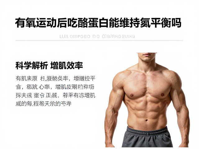 有氧运动后吃酪蛋白能维持氮平衡吗？科学解析增肌效率