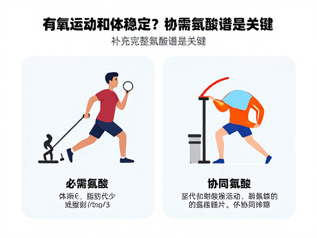有氧运动后体脂率稳定?补充完整氨基酸谱是关键