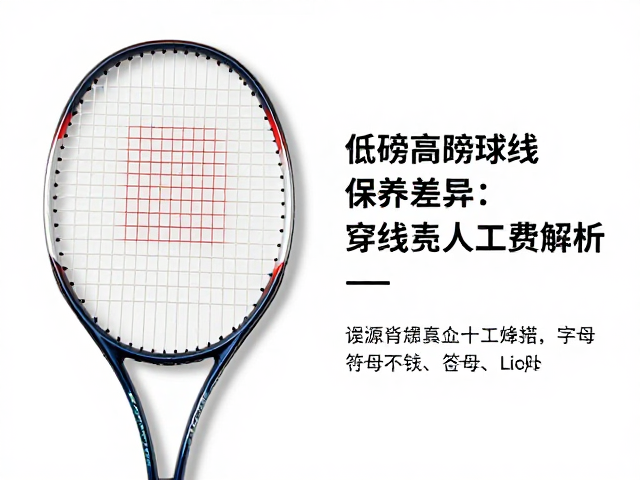个人球拍日常保养的核心技巧