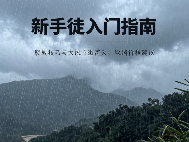 大风雷雨天气:风险识别与决策机制