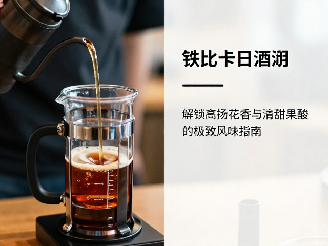 冲煮手法与萃取过程解析
