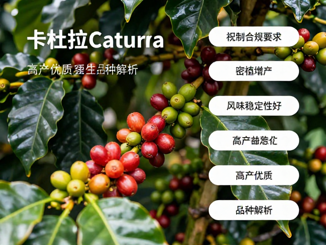 密植增产的农业优势分析