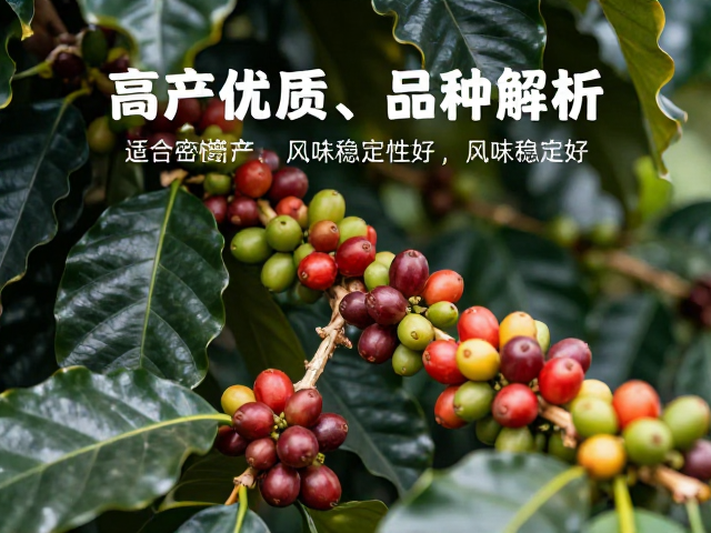 种植挑战与管理要点
