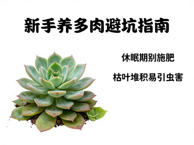 日常清理与通风管理